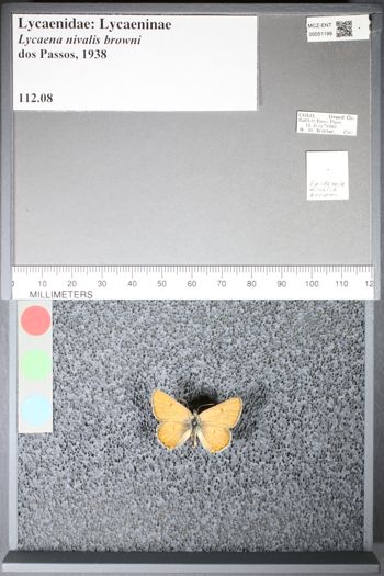Media type: image;   Entomology 51199